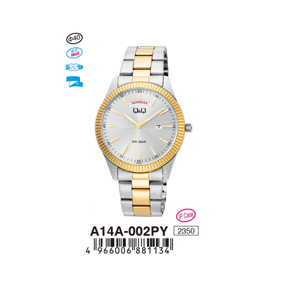 Q&Q A14A002PY Jam Tangan Pria