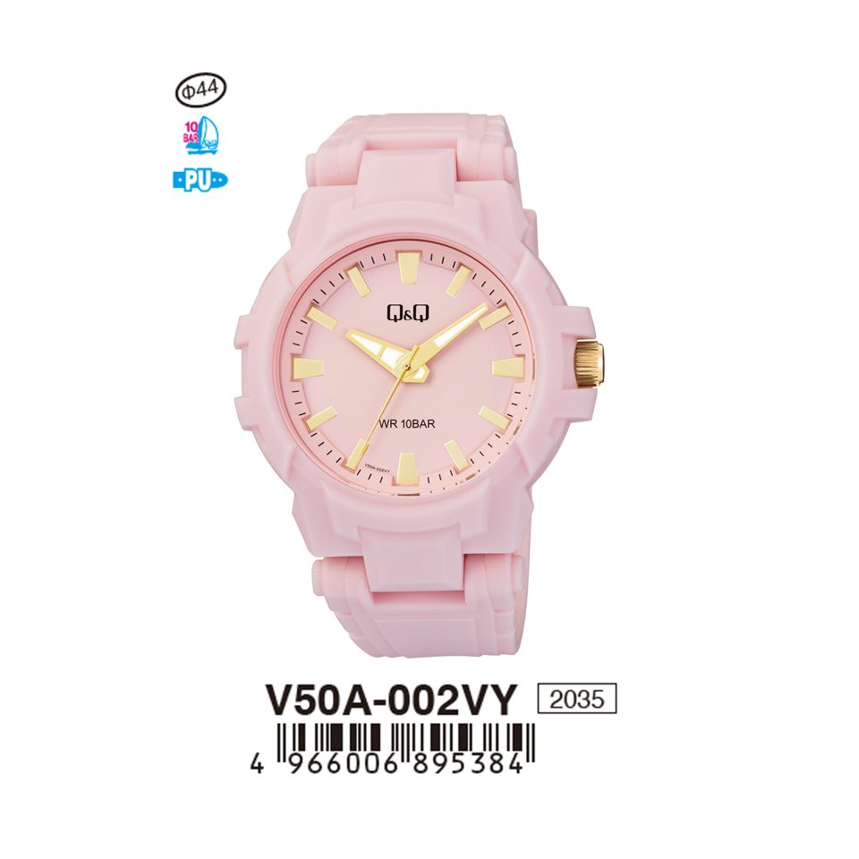 Q&Q V50A002VY Jam Tangan Pria