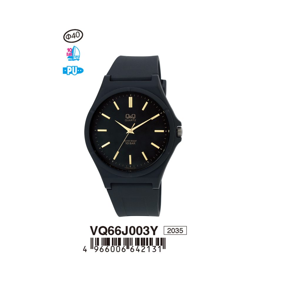 Q&Q VQ66J003Y Jam Tangan Pria