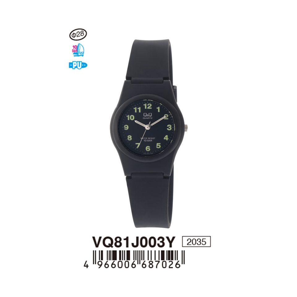 Q&Q VQ81